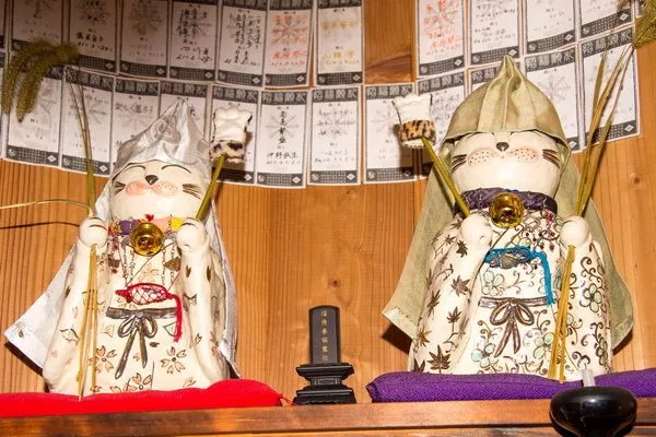 日本喵寺庙小猫众多，被誉为撸猫圣地