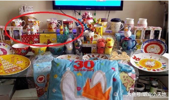 9Kg胖猫吃醋, 专挑妈妈心爱的杯子下手, 让她的心碎满地