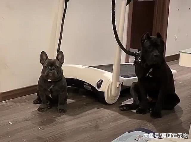 果然拜把兄弟，一起闯祸一起扛，网友：看着不好惹，要不算了吧！