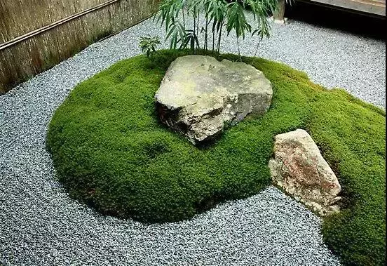 庭院青苔 · 歲月之痕