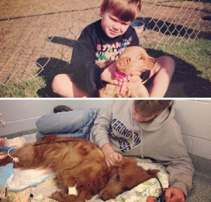 你陪我长大，我陪你变老…