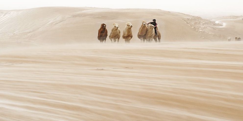 知晓 | -11~-5℃，免费庙会票9点开订！全国铁路大调图！保障房申请取消纸质证明！