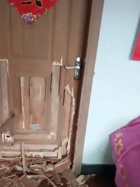 二哈拆家被累懵，躺地上呼呼大睡，狗：我为这个家付出太多……