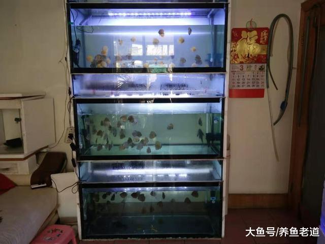 碰巧魚缸過濾停掉了一個晚上，我們看看一天之后水質如何？