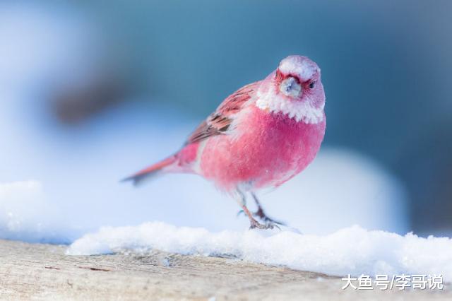 心态放宽的经典语录，内涵深刻，耐人寻味！