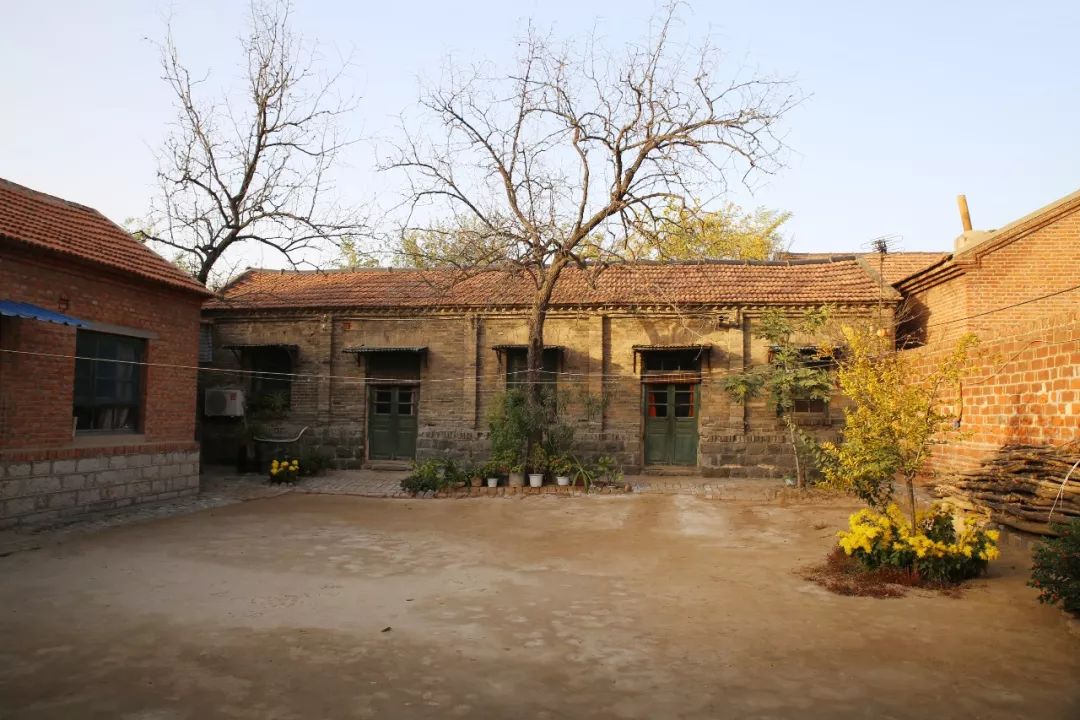 台子镇：乡村“庭院”焕“新颜”