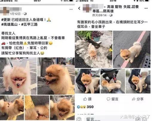 栓树根养的博美犬被咬到重伤不治，背后的故事更让网友愤怒
