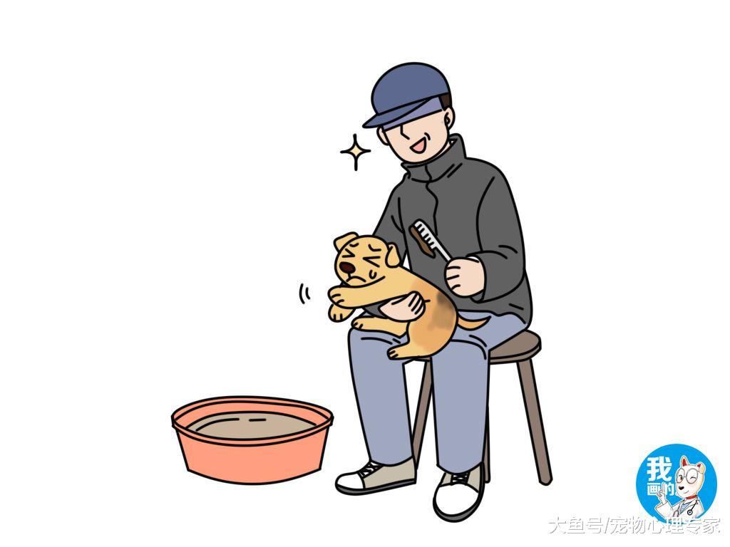 路边一群人对着地面拍照，看着像几只小老虎，蹲下后说不出话