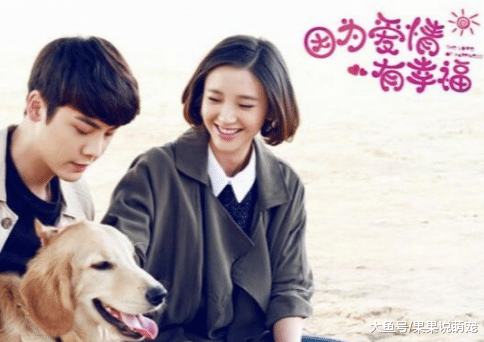 电视剧排行榜前十名_评价最高最好看最热的十部电视剧