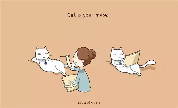 只有铲屎官才会懂, 猫咪教会我的那些事!