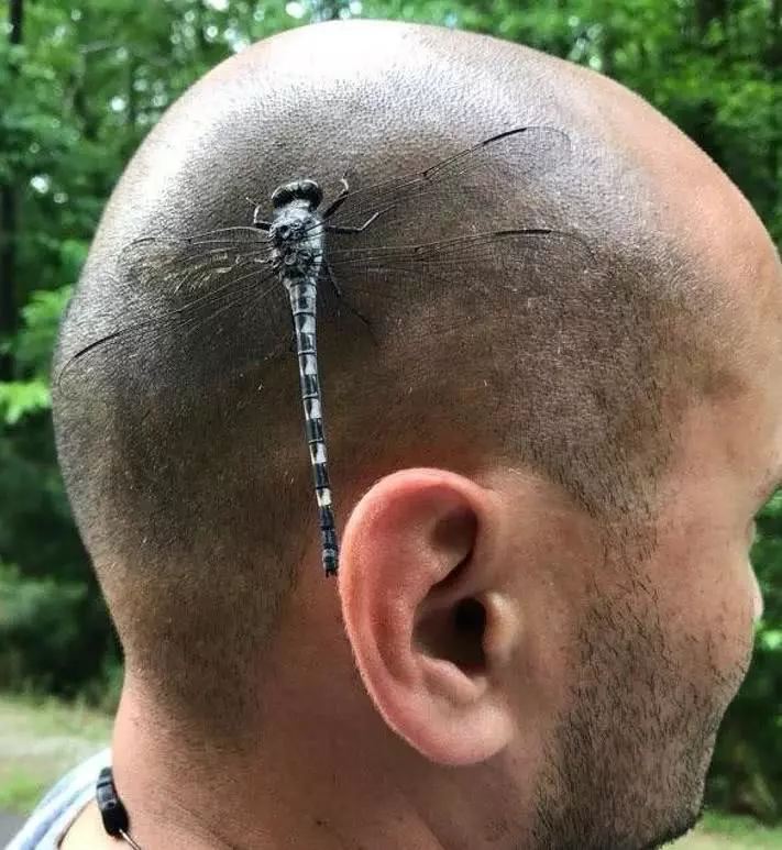 生活中永远“有惊喜”, 这些绝美的图片就是最好的证明