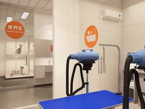 开店资讯|前期开宠物店需要分析哪些投资因素？