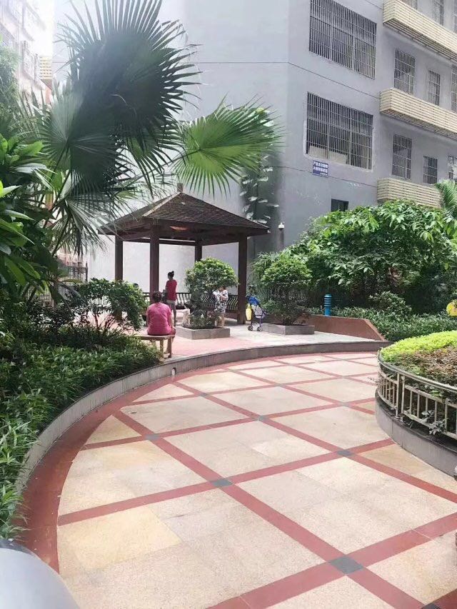 布吉六栋村委统建楼<南湾花园>14000一平