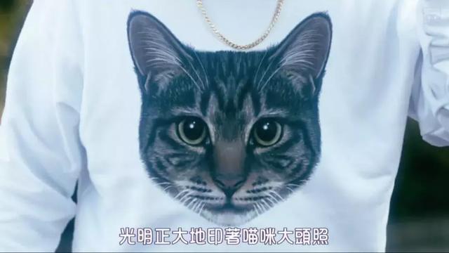 我虽然长得很凶，但我爱猫啊！