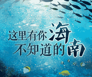 海南的福利：将出台支持新能源汽车政策 公共区域停车场免费停放