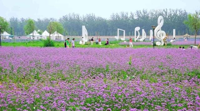 村庄规划将分为4类，建设重点各有不同，看看你们家乡要怎么建