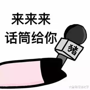 啥叫荷蘭豬？吃你的，喝你的，還死命使喚你