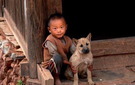 为什么说狗不嫌家贫？也许这就是土狗最好的证明吧