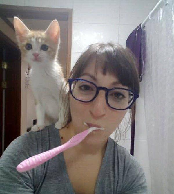 女孩排水沟捡到一只流浪小猫，几天后，女孩做了一个决定