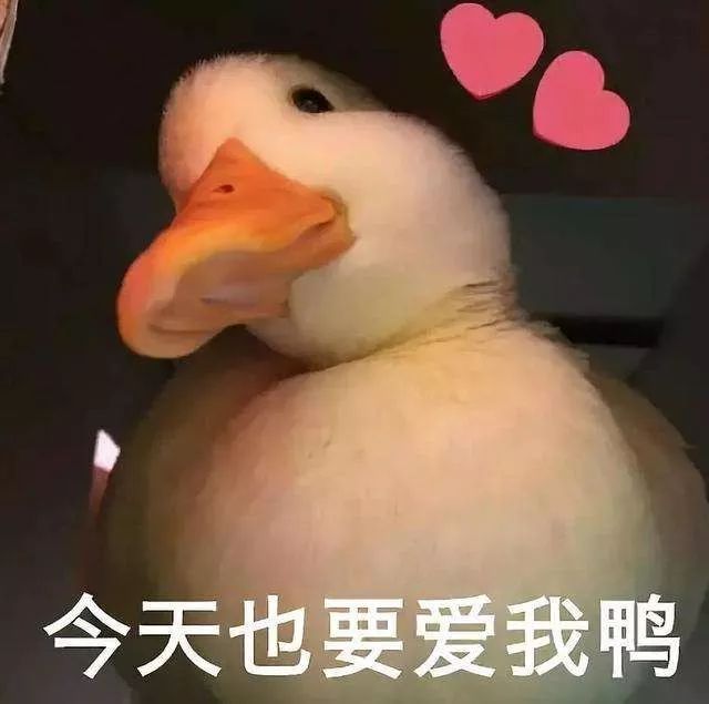 今天也要营业鸭，15000一只的网红鸭，要吸吗？