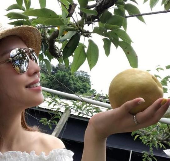 带你参观王力宏的豪宅，说是豪宅却像个农村房，还在院子里养猪