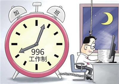 什么是适合“996”人的宠物？养宠物的两或三件事