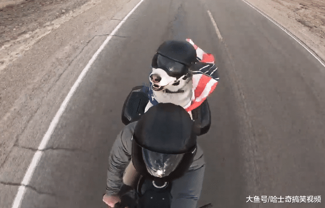二哈穿披风坐机车，跟主人环游世界，真的是“狗生赢家”
