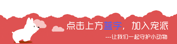 流浪狗在桿子旁瑟瑟發抖，走近一看它竟然被......