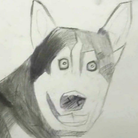 同样是画哈士奇：老师的完美，学霸的可爱，看到学渣：你是魔鬼吗