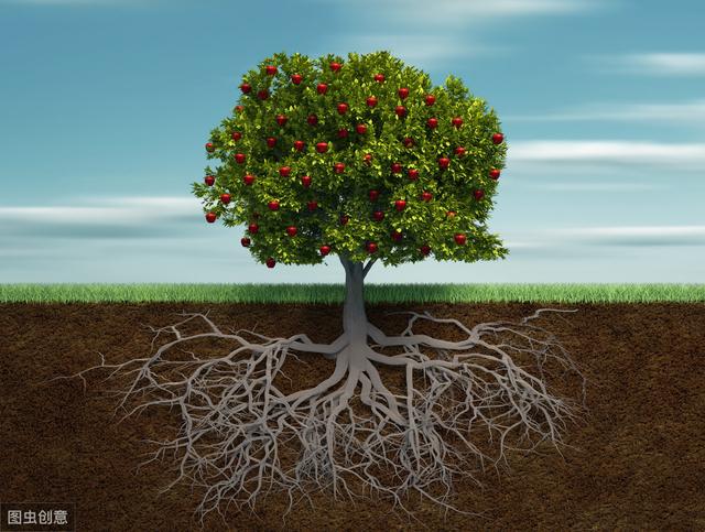 为何老百姓都说房价会涨？而专家则说房价会跌？