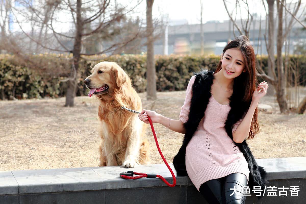 铲屎官们口中的‘大暖男’金毛犬，没想到还是个爱生气的小气包