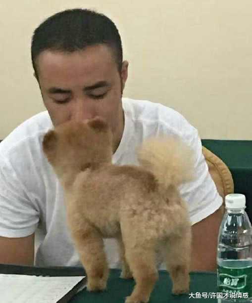 铲屎官带狗狗参加比赛，狗狗睡着样子萌酥众人，竟睡着拿了第二