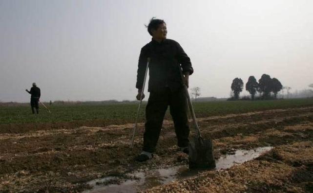 進口糧食超2046萬噸，農民生計成問題，該怎么辦？