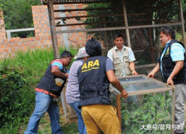 警方接到群众的举报查获废弃房，打开“蔬菜箱”后，让众人傻眼了