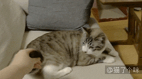 老娘好不容易哄睡觉的，你再揪个试试