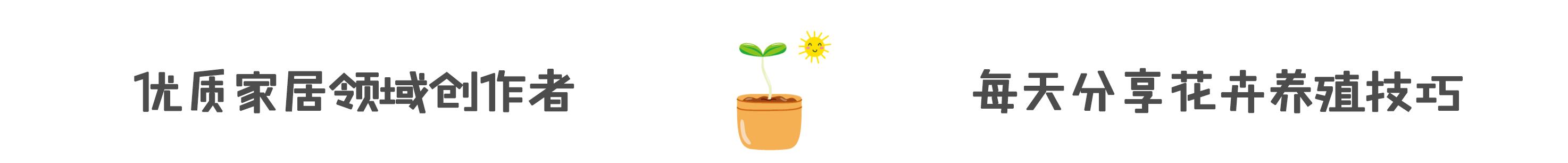 懒得打扫马桶，水箱里放一块肥皂，解决不少麻烦