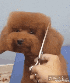 我对食物的渴望，超乎你的想象