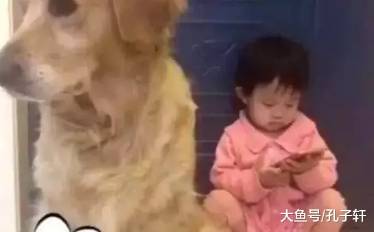 小主人偷偷摸摸玩手机让金毛把风, 结果被发现后金毛这反应亮了