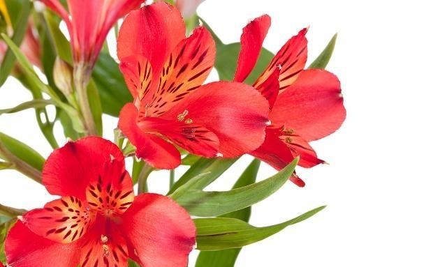 熬过这四大苦，人生方知成熟