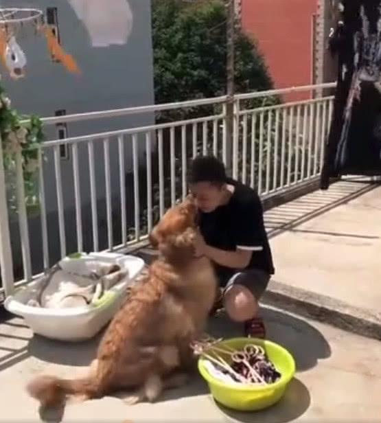 男主人晾衣服狗狗叼来了这个, 男主人: 你知道的太多了!