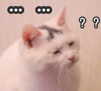 馋猫想对仓鼠下手，主人在线求助：怎么让喵明白这不是食物！