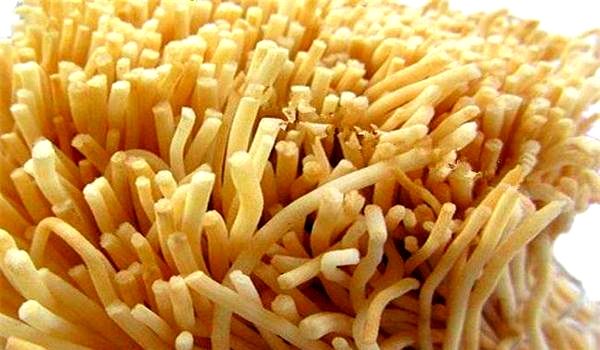 古人在棺椁里放置灯芯草，用来照亮“异世界”，不料奇迹由此产生