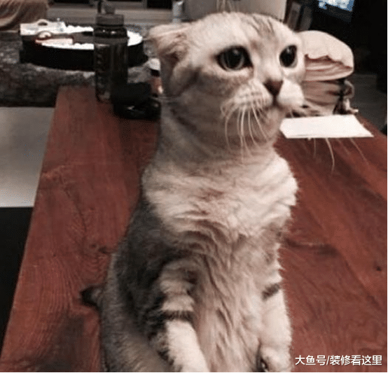 杨祐宁的居家生活，平时生活十分节约，都是自己动手煮饭吃