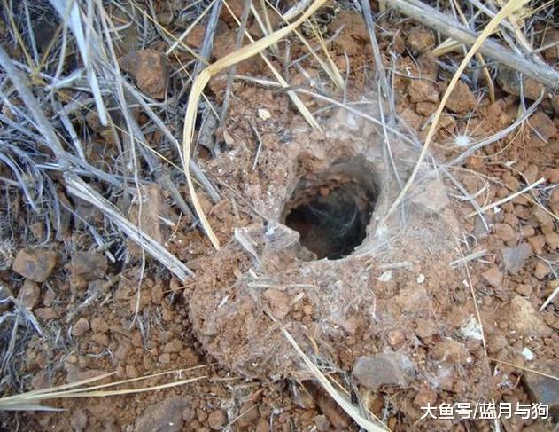 男子发现一个硬币大小的洞口，走进一瞧发现里面冒出金色的光