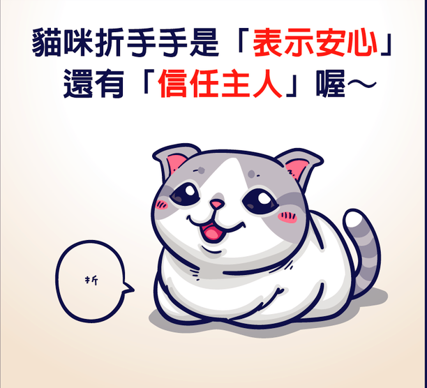 如果你家喵常做這幾個動作，那恭喜你，你家喵皇上十分信任且愛你