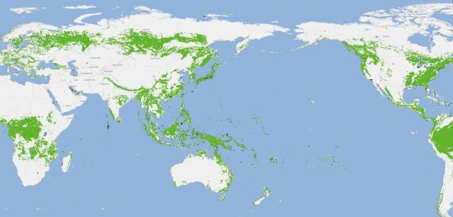 卫星看全球森林真相！中国沿海东北绿色多，日本，菲律宾几乎全绿色