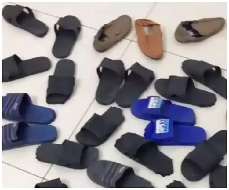 下班回家, 发现两只金毛在面壁, 顺老公手指方向一瞅, 瞬间石化了