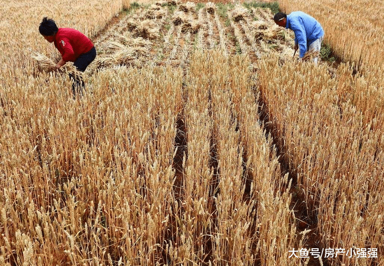实体经济被高房价逼空? 楼房多代表不了农民买得起
