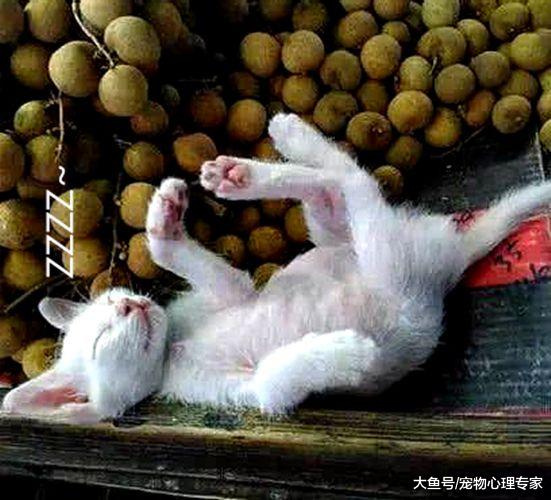 水果摊围满顾客却不见老板，路人凑上前一看：这生意还做不做了