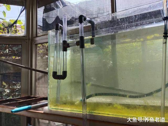 鱼缸上滤改底滤就这么简单？是的，即使不用钻眼其实也很简单